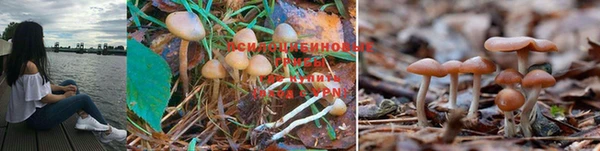 гашишное масло Ессентукская
