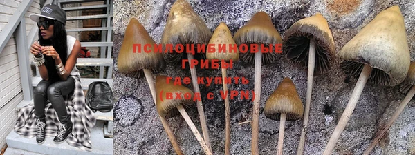 2c-b Новосибирск