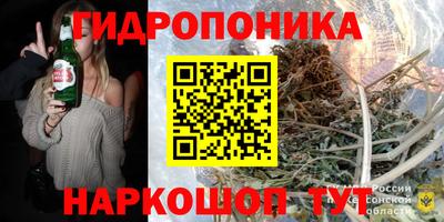 apvp Краснознаменск