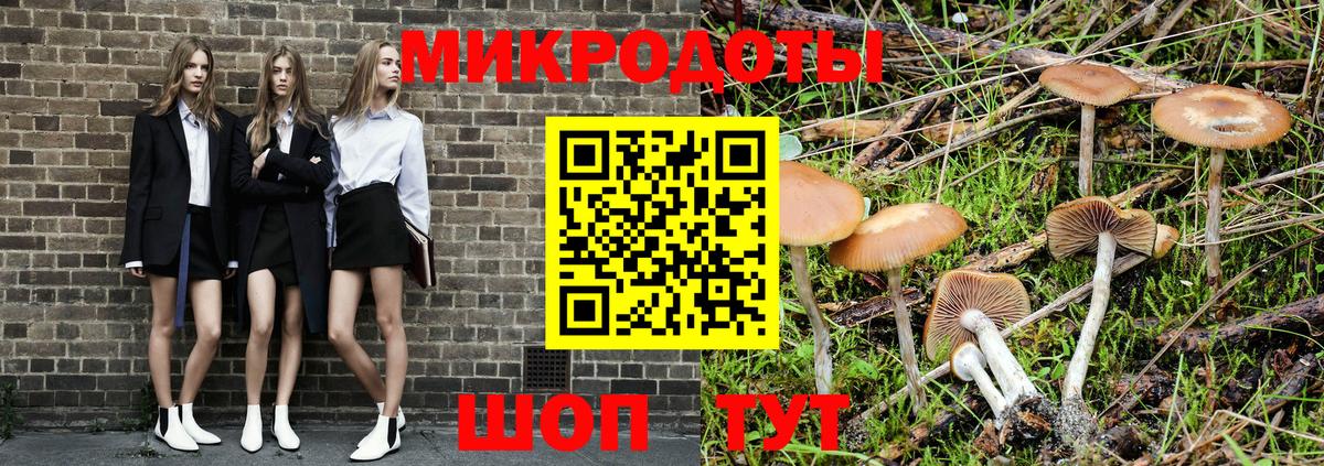 Псилоцибиновые грибы Psilocybine cubensis  Галлюциногенные грибы GOLDEN TEACHER  Ногинск  Вход с VPN 