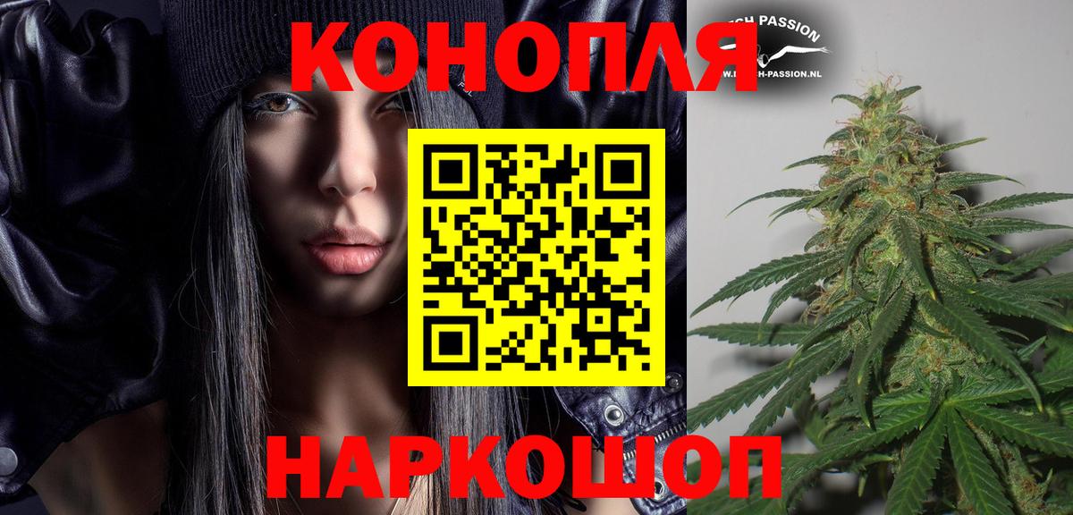 Ногинск  Канабис конопля  Вход с VPN  Конопля OG Kush  Конопля Amnesia  Бошки марихуана тримм 